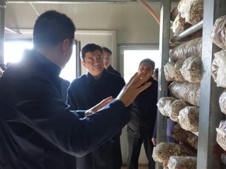 ���쵼���Ĳ���ʡ�����ζȼ�����ϵָ����׼��ƶ����